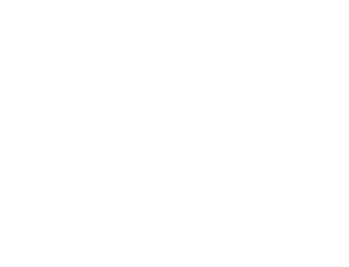 Arizona Group Srl